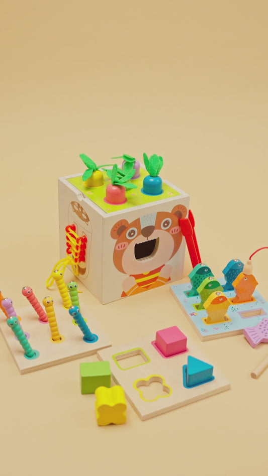 Montessori 8 in 1 Wooden Play Set